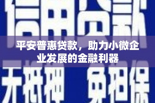 图木舒克平安普惠贷款，助力小微企业发展的金融利器