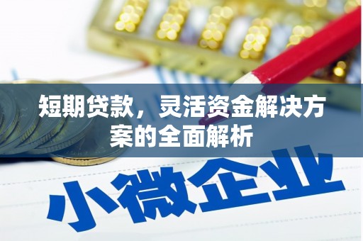 图木舒克短期贷款，灵活资金解决方案的全面解析