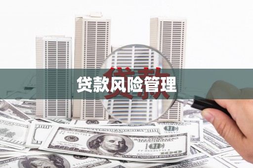 图木舒克贷款风险管理