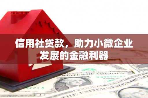 图木舒克信用社贷款，助力小微企业发展的金融利器