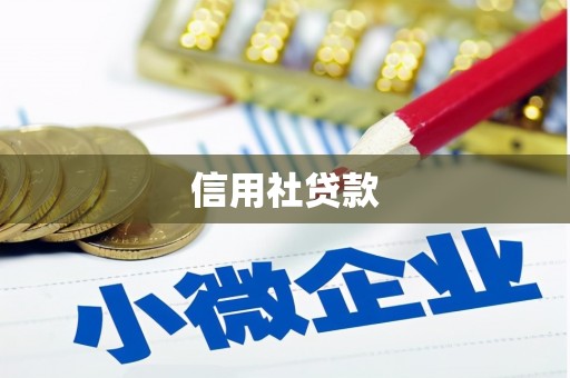 图木舒克信用社贷款