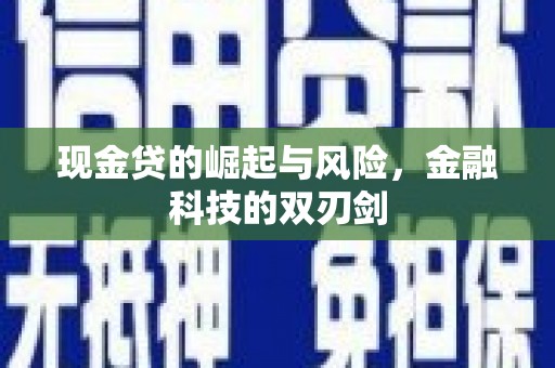 图木舒克现金贷的崛起与风险，金融科技的双刃剑