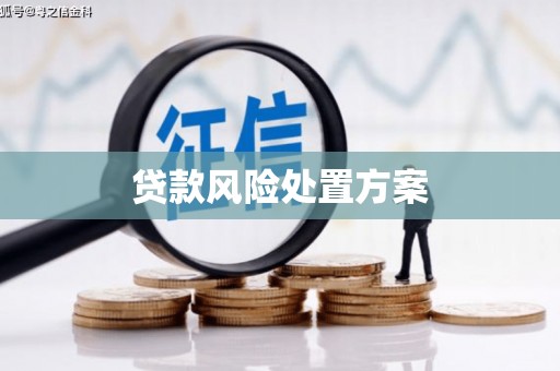 图木舒克贷款风险处置方案