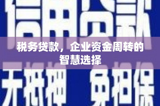 图木舒克税务贷款，企业资金周转的智慧选择