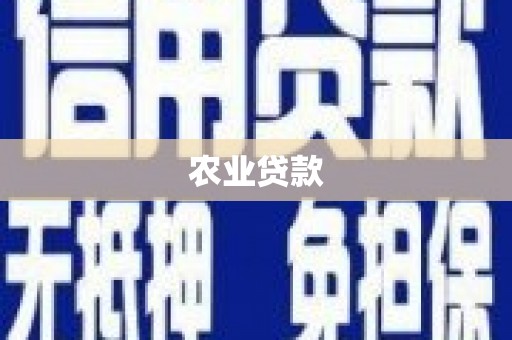 图木舒克农业贷款