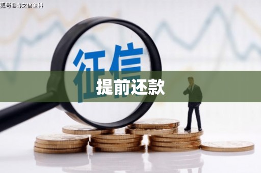 图木舒克提前还款