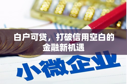图木舒克白户可贷，打破信用空白的金融新机遇