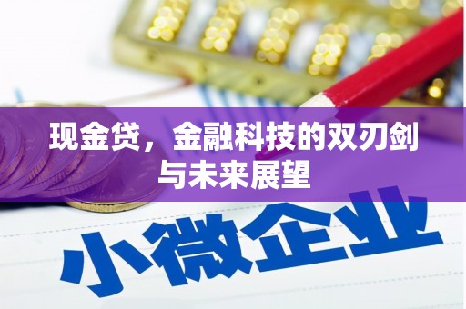 图木舒克现金贷，金融科技的双刃剑与未来展望