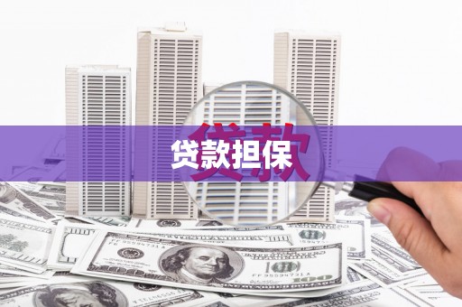 图木舒克贷款担保