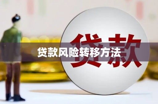 图木舒克贷款风险转移方法