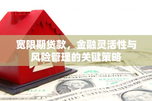 图木舒克宽限期贷款，金融灵活性与风险管理的关键策略