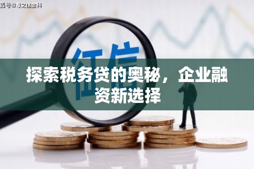 图木舒克探索税务贷的奥秘，企业融资新选择