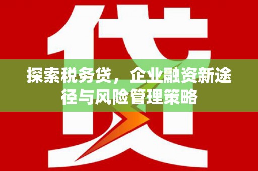 图木舒克探索税务贷，企业融资新途径与风险管理策略