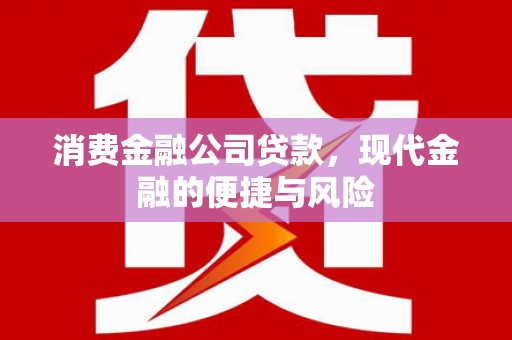 图木舒克消费金融公司贷款，现代金融的便捷与风险