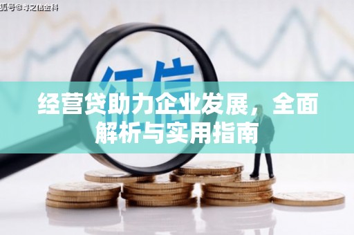 图木舒克经营贷助力企业发展，全面解析与实用指南