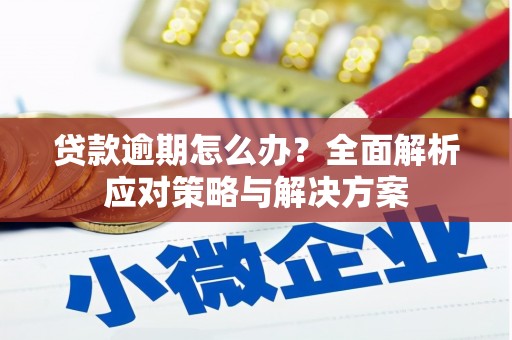 图木舒克贷款逾期怎么办？全面解析应对策略与解决方案