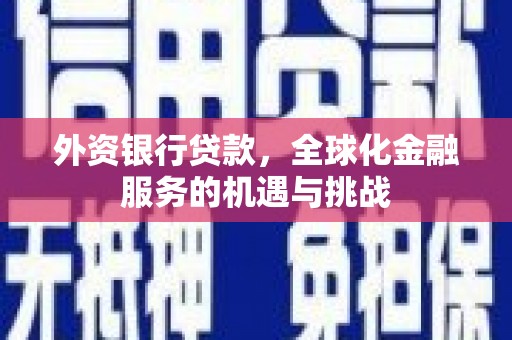 图木舒克外资银行贷款，全球化金融服务的机遇与挑战