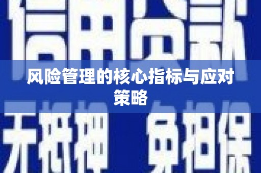 图木舒克风险管理的核心指标与应对策略
