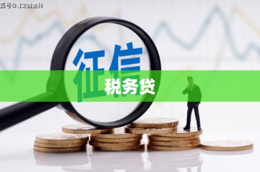 图木舒克税务贷