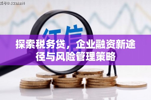 图木舒克探索税务贷，企业融资新途径与风险管理策略