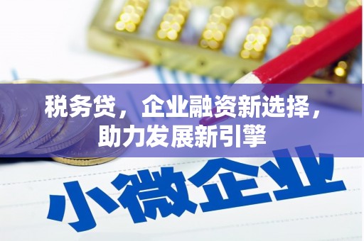 图木舒克税务贷，企业融资新选择，助力发展新引擎