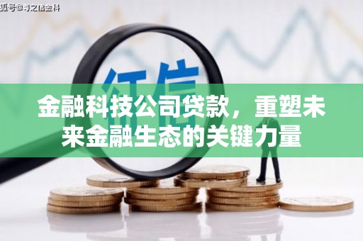 图木舒克金融科技公司贷款，重塑未来金融生态的关键力量
