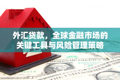 图木舒克外汇贷款，全球金融市场的关键工具与风险管理策略