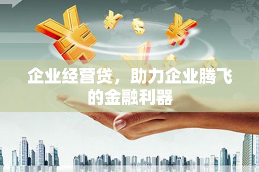 图木舒克企业经营贷，助力企业腾飞的金融利器