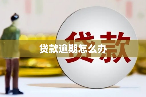 图木舒克贷款逾期怎么办