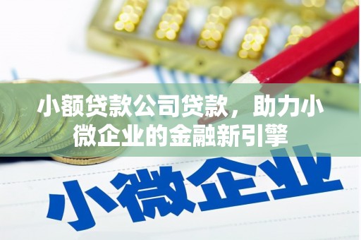 图木舒克小额贷款公司贷款，助力小微企业的金融新引擎
