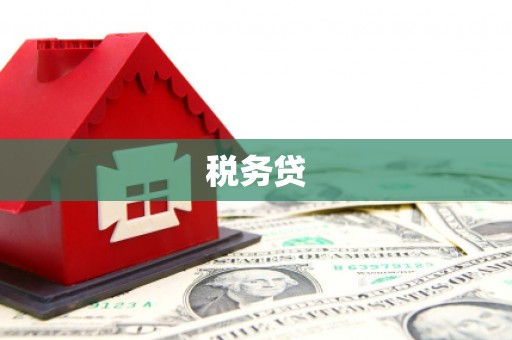 图木舒克税务贷