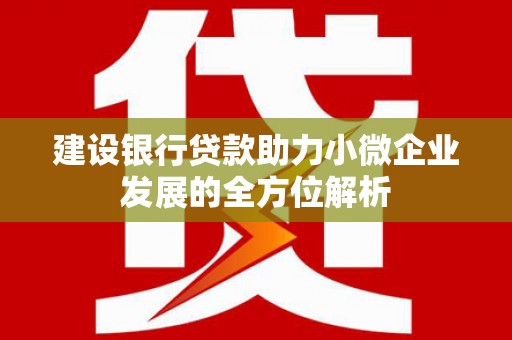 图木舒克建设银行贷款助力小微企业发展的全方位解析