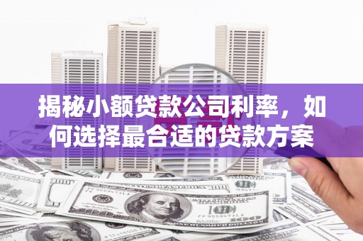 图木舒克揭秘小额贷款公司利率，如何选择最合适的贷款方案