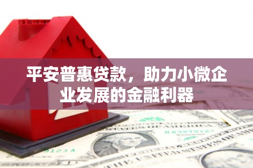 图木舒克平安普惠贷款，助力小微企业发展的金融利器