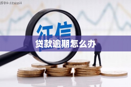 图木舒克贷款逾期怎么办