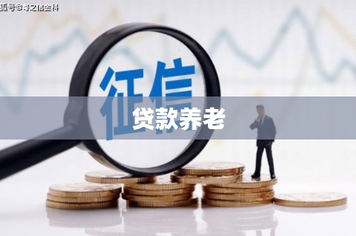 图木舒克贷款养老