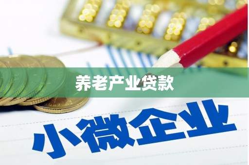 图木舒克养老产业贷款