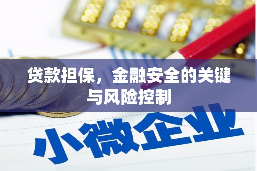 图木舒克贷款担保，金融安全的关键与风险控制