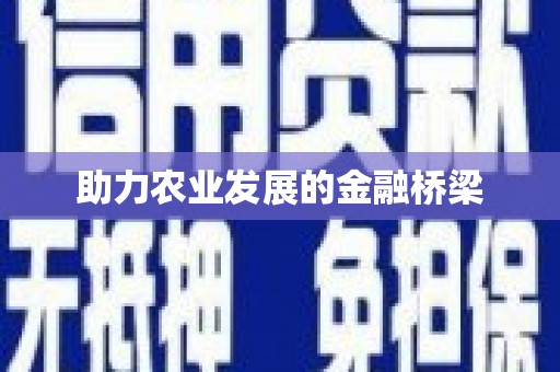 图木舒克助力农业发展的金融桥梁