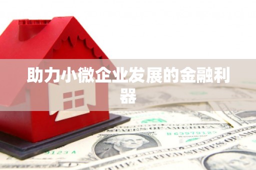 图木舒克助力小微企业发展的金融利器